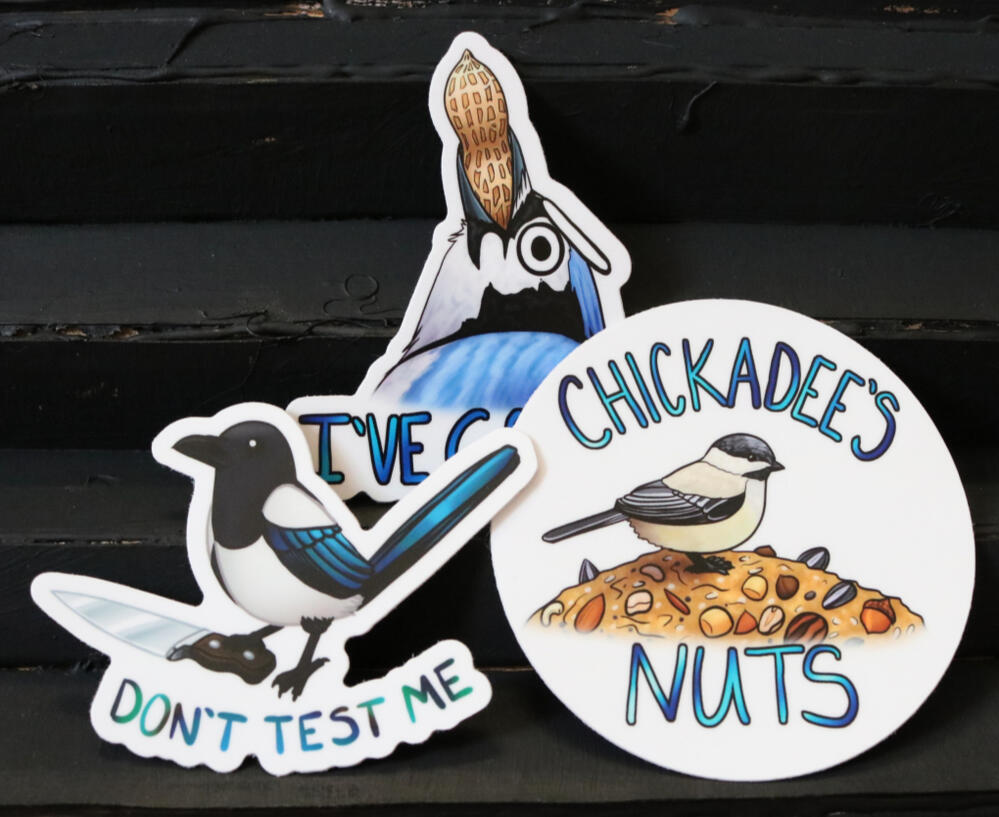 Silly bird 3&quot; vinyl stickers, featuring Chickadee&#39;s Nuts, Don&#39;t Test Me, and I&#39;ve Got This